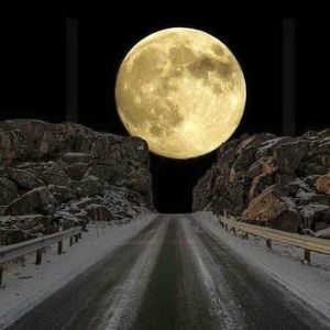 Meet your Posher, Al